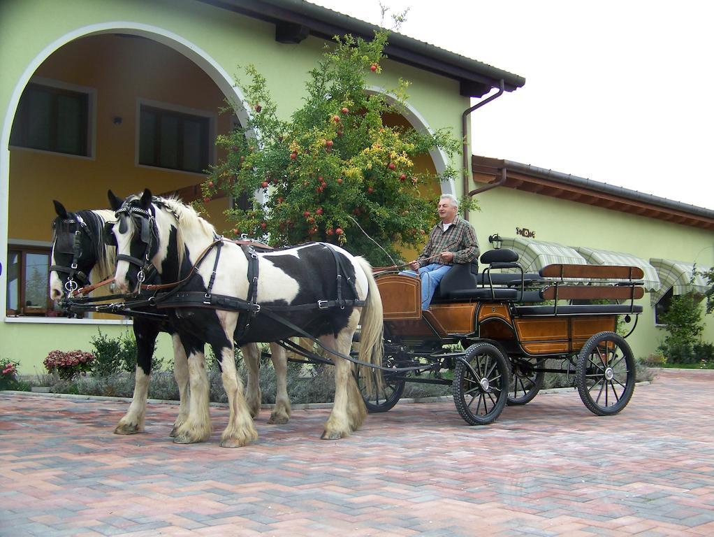 Agriturismo Nonna Rina Vila San Liberale Exterior foto